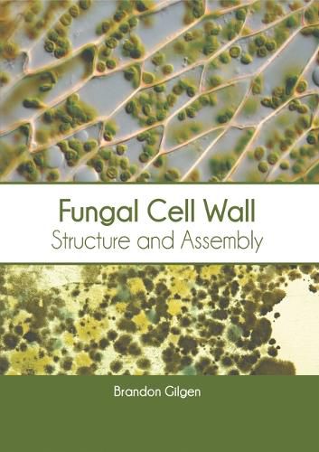 Cover image for Fungal Cell Wall: Structure and Assembly