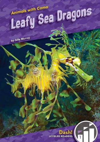 Cover image for Leafy Sea Dragons