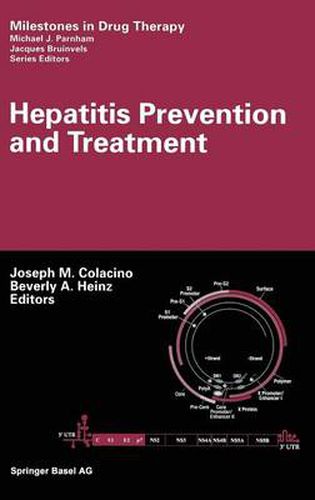 Cover image for Hepatitis Prevention and Treatment