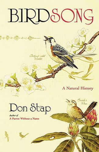 Cover image for Birdsong