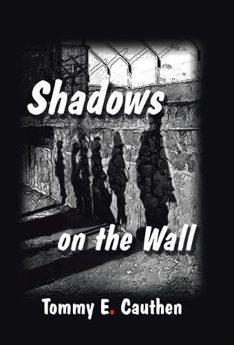 Cover image for Shadows on the Wall