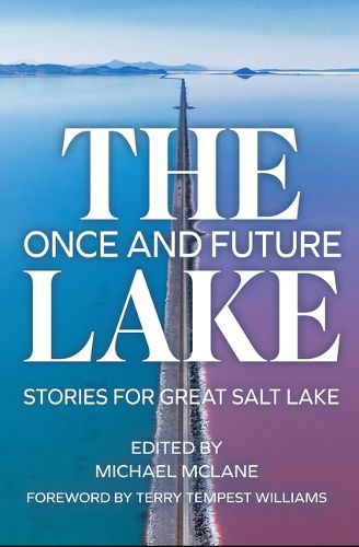 Cover image for The Once and Future Lake