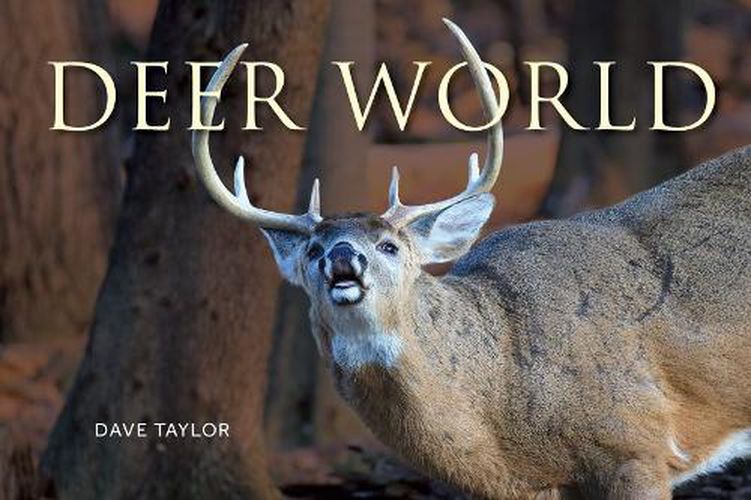 Cover image for Deer World