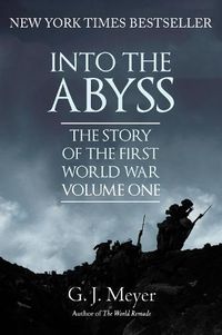 Cover image for Into The Abyss: The Story of the First World War, Volume One