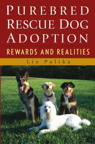 Cover image for Purebred Rescue Dog Adoption: Rewards and Realities