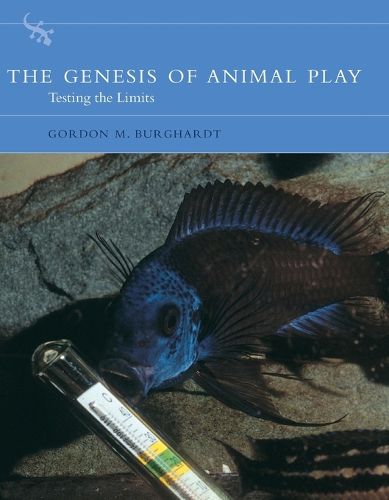 Cover image for The Genesis of Animal Play: Testing the Limits