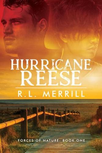 Cover image for Hurricane Reese