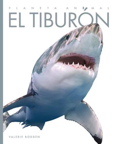 Cover image for El Tiburon