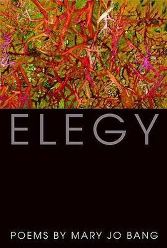 Cover image for Elegy
