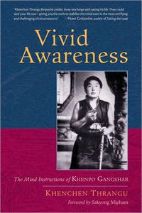Cover image for Vivid Awareness: The Mind Instructions of Khenpo Gangshar