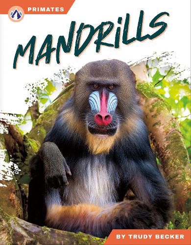 Cover image for Mandrills