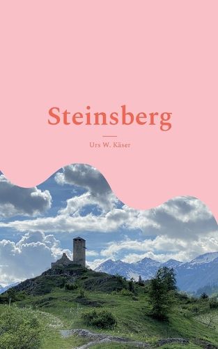 Cover image for Steinsberg