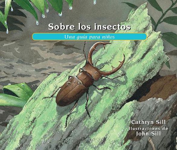 Cover image for Sobre los insectos