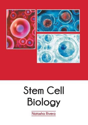 Cover image for Stem Cell Biology