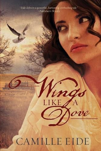 Cover image for Wings Like a Dove