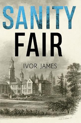 Cover image for Sanity Fair