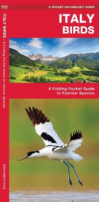 Cover image for Italy Birds: A Folding Pocket Guide to Familiar Species