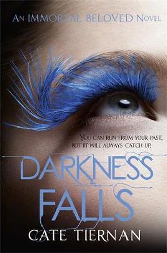 Cover image for Darkness Falls (Immortal Beloved Book Two)