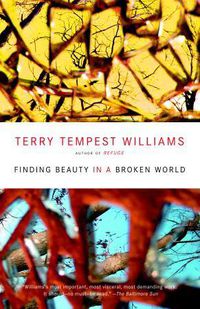 Cover image for Finding Beauty in a Broken World