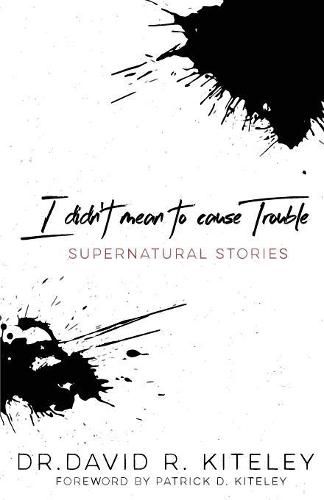 Cover image for I Didn't Mean to Cause Trouble: Supernatural Stories