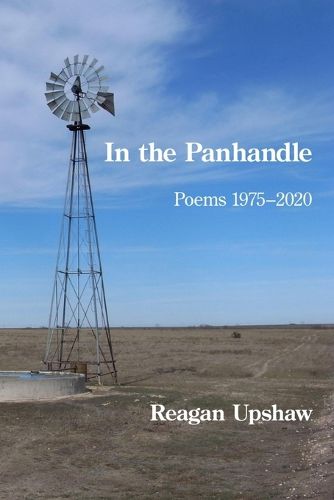 Cover image for In the Panhandle