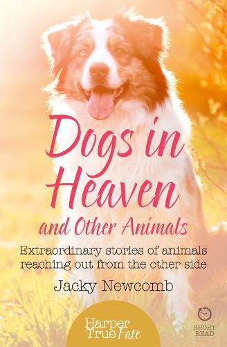 Cover image for Dogs in Heaven: and Other Animals: Extraordinary Stories of Animals Reaching out from the Other Side