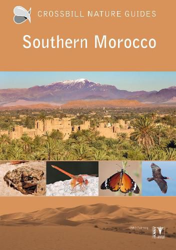 Cover image for Southern Morocco