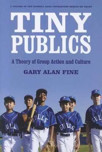 Tiny Publics: A Theory of Group Action and Culture