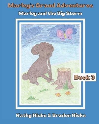 Cover image for Marley and the Big Storm