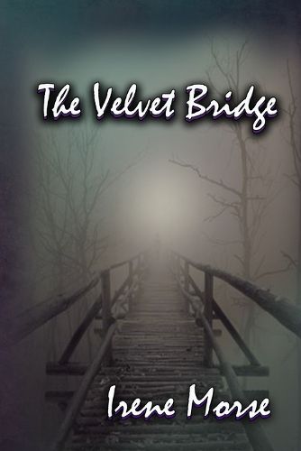 Cover image for The Velvet Bridge