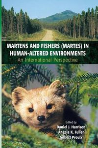 Cover image for Martens and Fishers (Martes) in Human-Altered Environments: An International Perspective