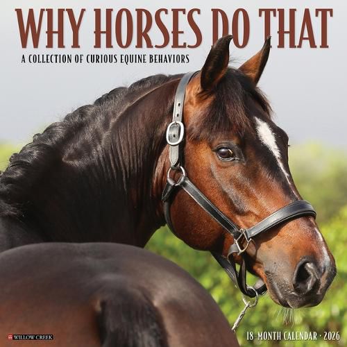 Cover image for Why Horses Do That 2026 12 X 12 Wall Calendar