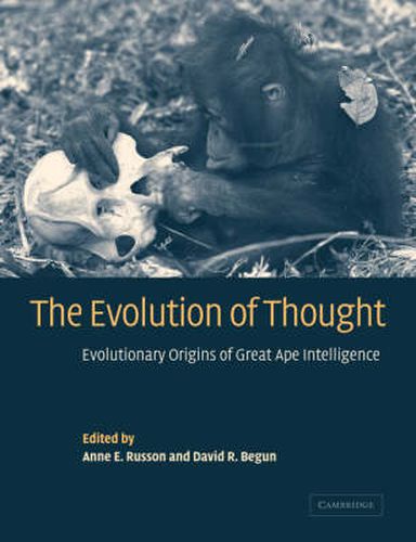 Cover image for The Evolution of Thought: Evolutionary Origins of Great Ape Intelligence