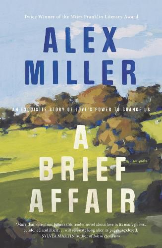 Cover image for A Brief Affair