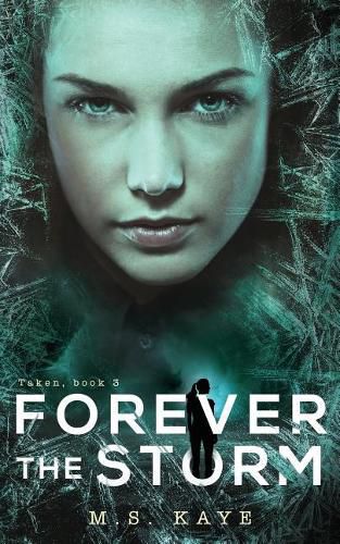 Cover image for Forever the Storm