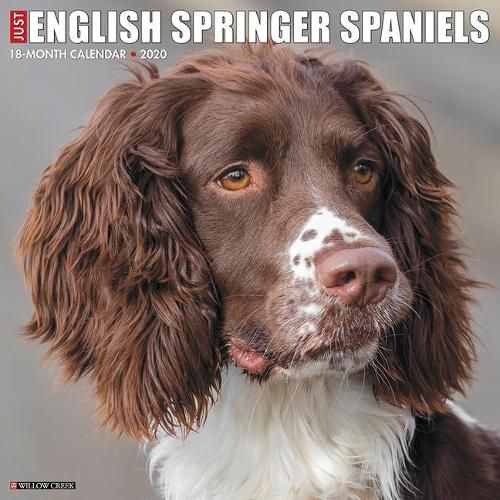 Cover image for Just English Springer Spaniels 2020 Wall Calendar (Dog Breed Calendar)