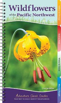 Cover image for Wildflowers of the Pacific Northwest: Your Way to Easily Identify Wildflowers