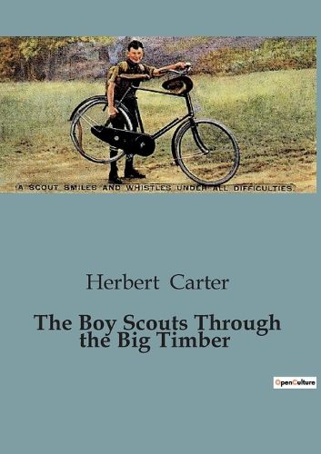 Cover image for The Boy Scouts Through the Big Timber
