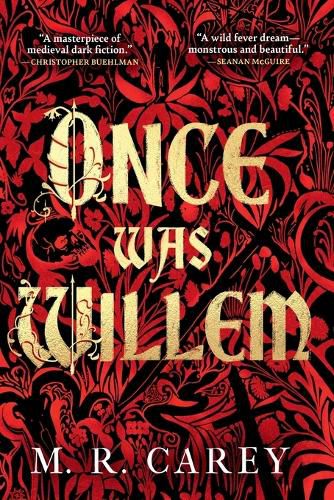 Cover image for Once Was Willem