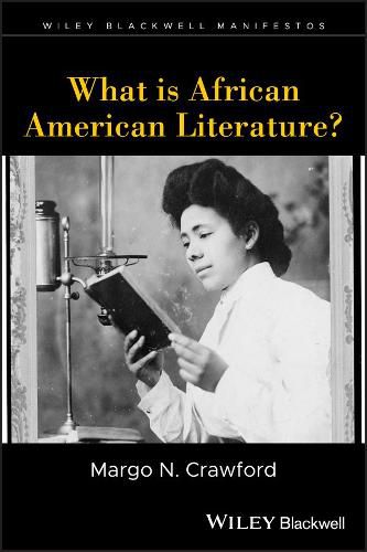 Cover image for What is African American Literature?