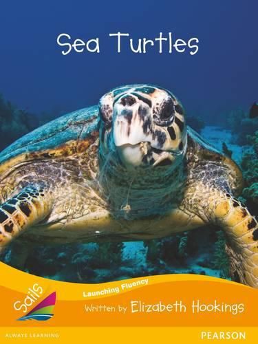 Cover image for Sails Fluency Orange Set 2: Sea Turtles