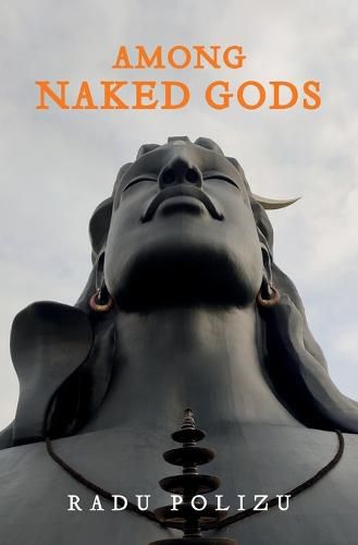 Cover image for Among Naked Gods