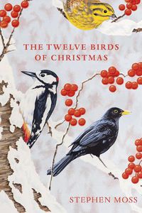Cover image for The Twelve Birds of Christmas