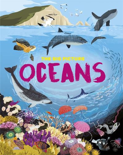 Cover image for The Big Picture: Oceans