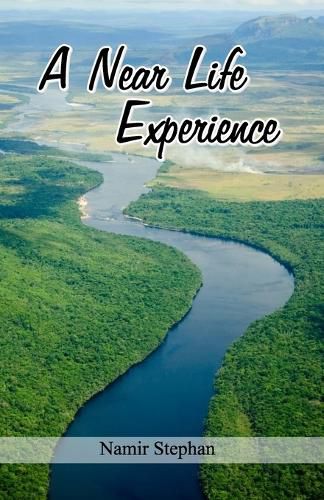 Cover image for A Near Life Experience
