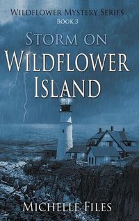 Cover image for Storm on Wildflower Island