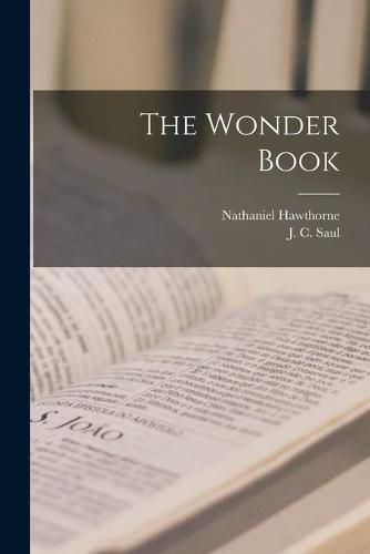 Cover image for The Wonder Book [microform]