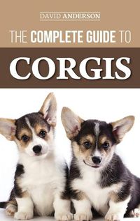 Cover image for The Complete Guide to Corgis: Everything to Know About Both the Pembroke Welsh and Cardigan Welsh Corgi Dog Breeds