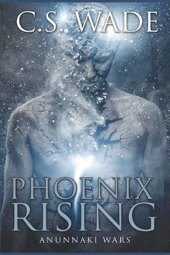 Cover image for Phoenix Rising