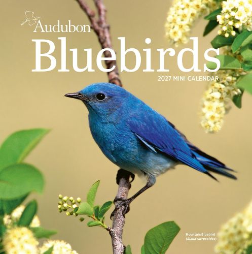 Cover image for Audubon Bluebirds Mini Wall Calendar 2027